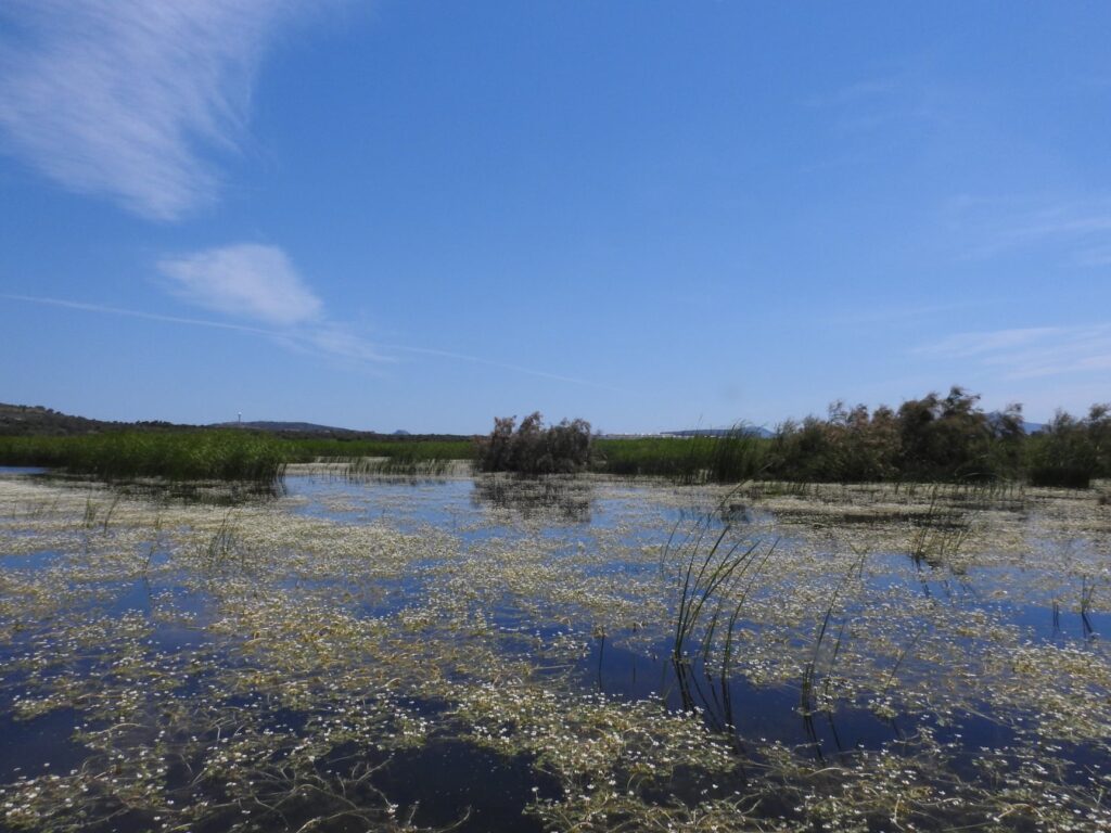 Wetland of Loutros